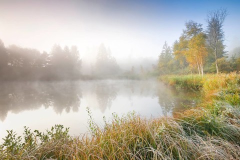 Autumn atmosphere at a tree-lined pond