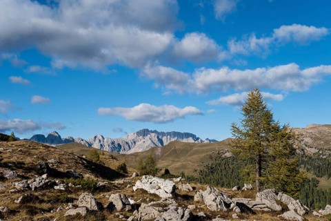 Mountain landscape in Parco Naturale Paneveggio Pale di San Martino