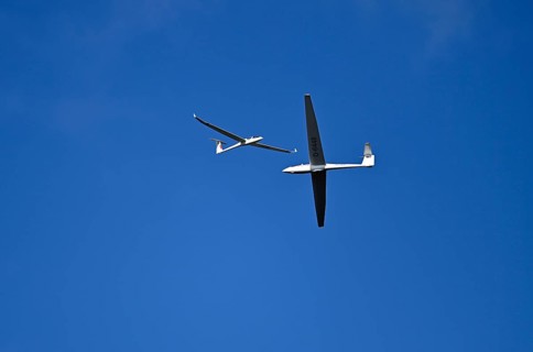 Two gliders cruising