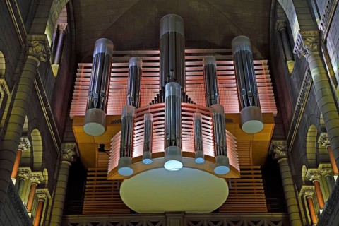 Organ