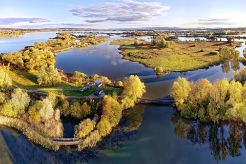 Front left Wooden bridge and observation tower on bird island