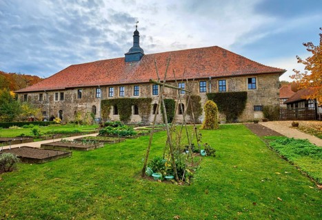 Vegetable garden