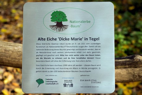 Information board for the Dicke Marie