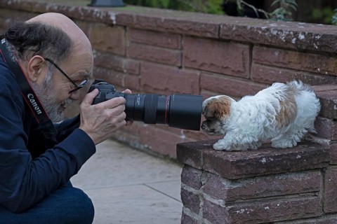 Older man photographing Bolonka Zwetna puppy