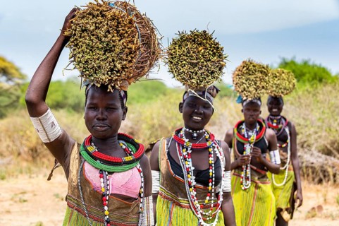 Girls with collected reeds on their heads on their way home