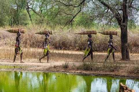 Girls with collected reeds on their heads on their way home
