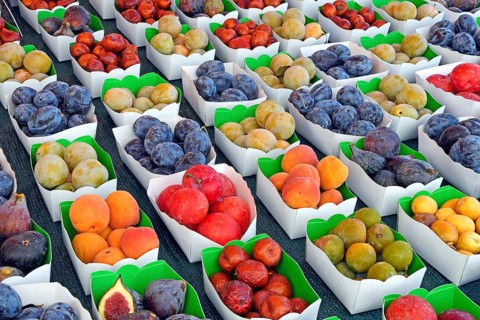 Fresh fruit and vegetables