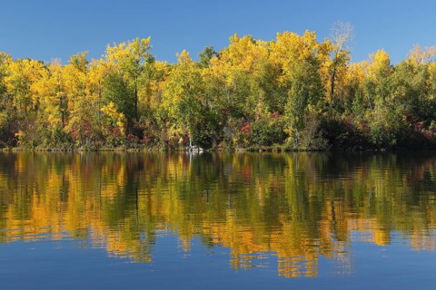 Autumn colours on Hamilton Island