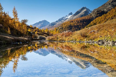 Grundsee