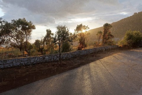 Downpour on a country road