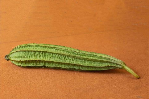 Ridge gourd also called sponge gourd
