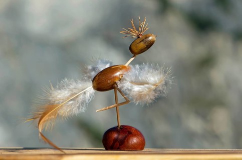 Bird