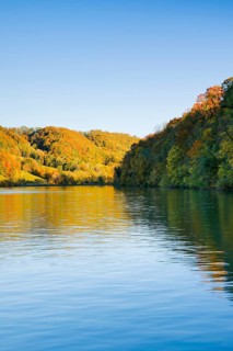 View from the riverbank near Eglisau of the Rhine fringed by colourful autumn forest