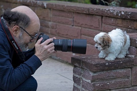 Older man photographing Bolonka Zwetna puppy