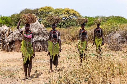 Girls with collected reeds on their heads on their way home