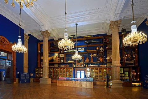 Exhibition spaces