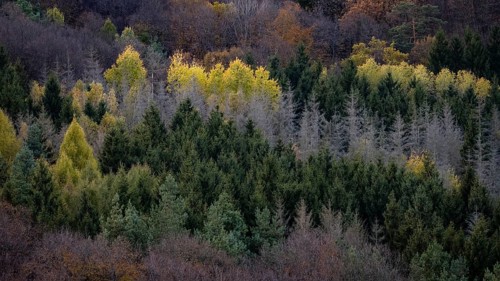 Autumn landscape