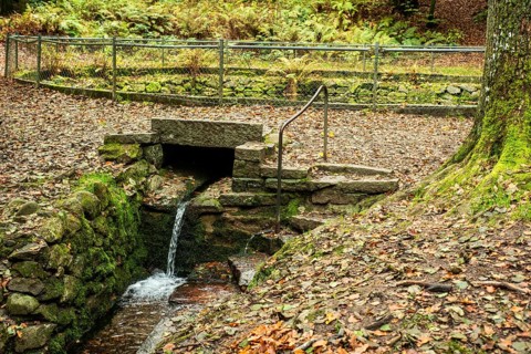 The radium source