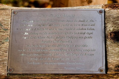 Information board for the natural monument