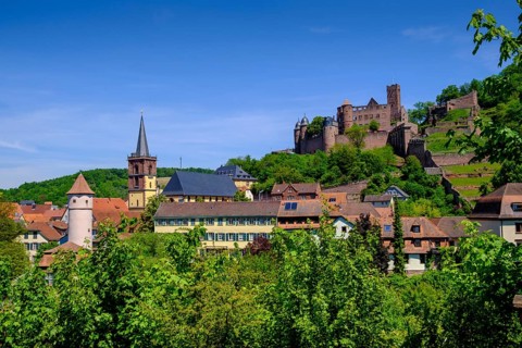Old town with castle