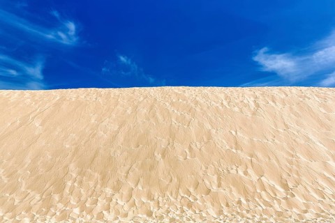 Punta Paloma dune