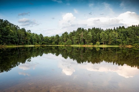 Lake with water reflection