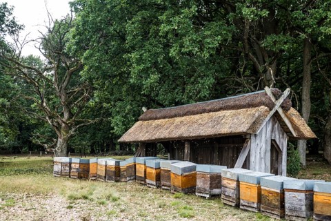 Beehives