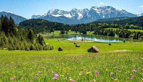 Flower meadow with hay barn at Geroldsee