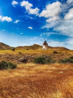 Windmill in barren landscape