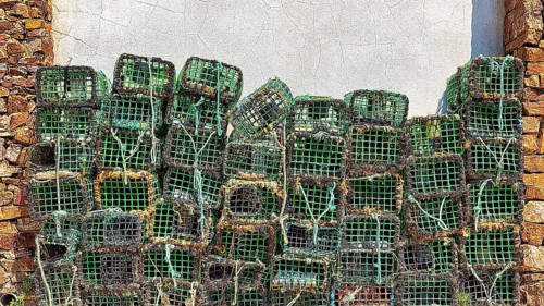 Lobster traps