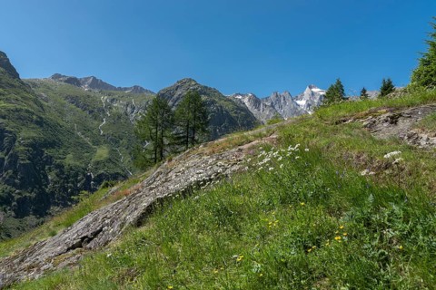 Landscape with the Wannenhorn from the hiking trail between Bellwald and Aspi-Titter suspension bridge