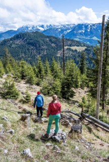 Hiker in the Bavarian Pre-Alps