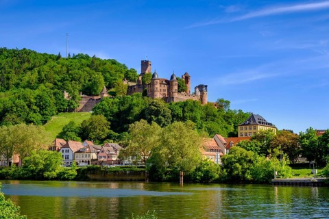 Old town with castle over the Main