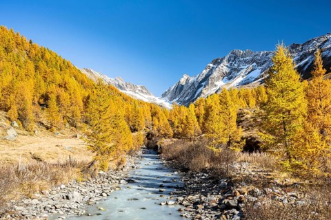 River Lonza with Aletschhorn and Schinhorn