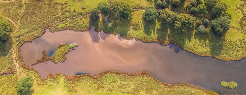 Panorama of Pond in Powderham Park from a drone