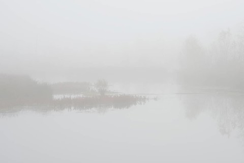 Fog in the Moor