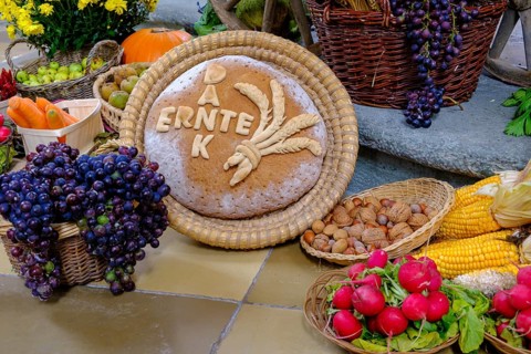 Harvest Thanksgiving