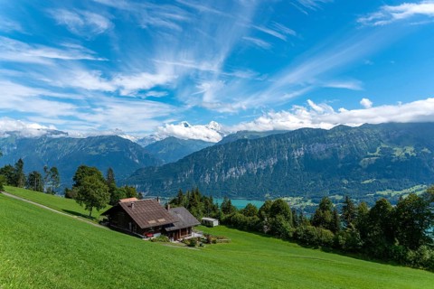Landscape with Lake Thun