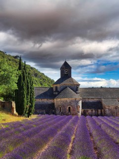 Romanesque-style Cistercian monastery of Notre-Dame de Senanque