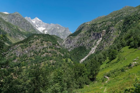 Landscape with the Wannenhorn from the hiking trail between Bellwald and Aspi-Titter suspension bridge