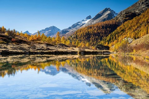 Grundsee