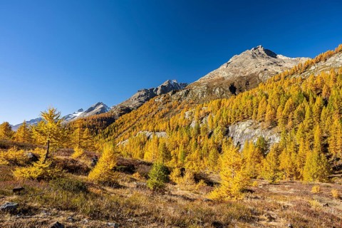 Fafleralp in the Loetschental