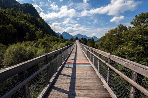 Treetop path