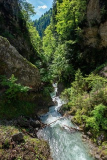Mountain stream flowing through a narrow gorge