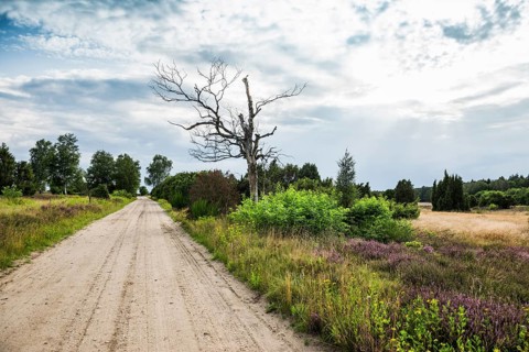 Sandstrasse