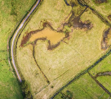 Wetlands and meadows in RSPB Exminster and Powderham Marshe from a drone