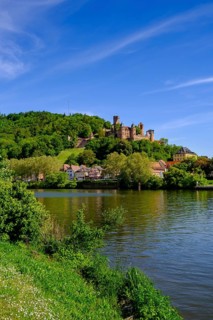 Old town with castle over the Main