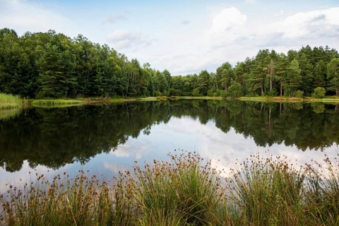 Lake with water reflection