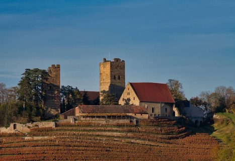Neipperg Castle in autumn