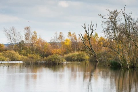 Autumn moorland